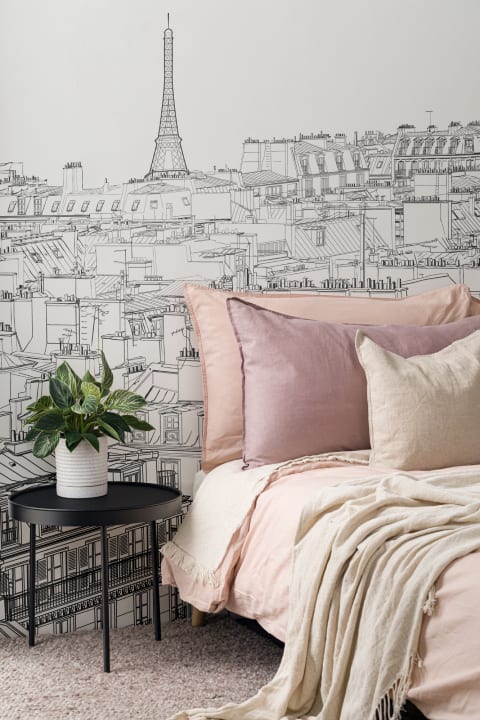 Paris Rooftop Ilustrație Wallpaper Mural