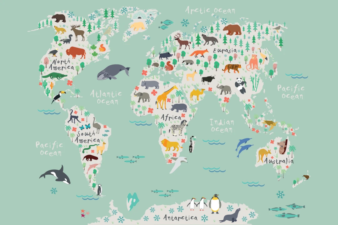 Mural Papel Pintado Mapa Infantil Safari