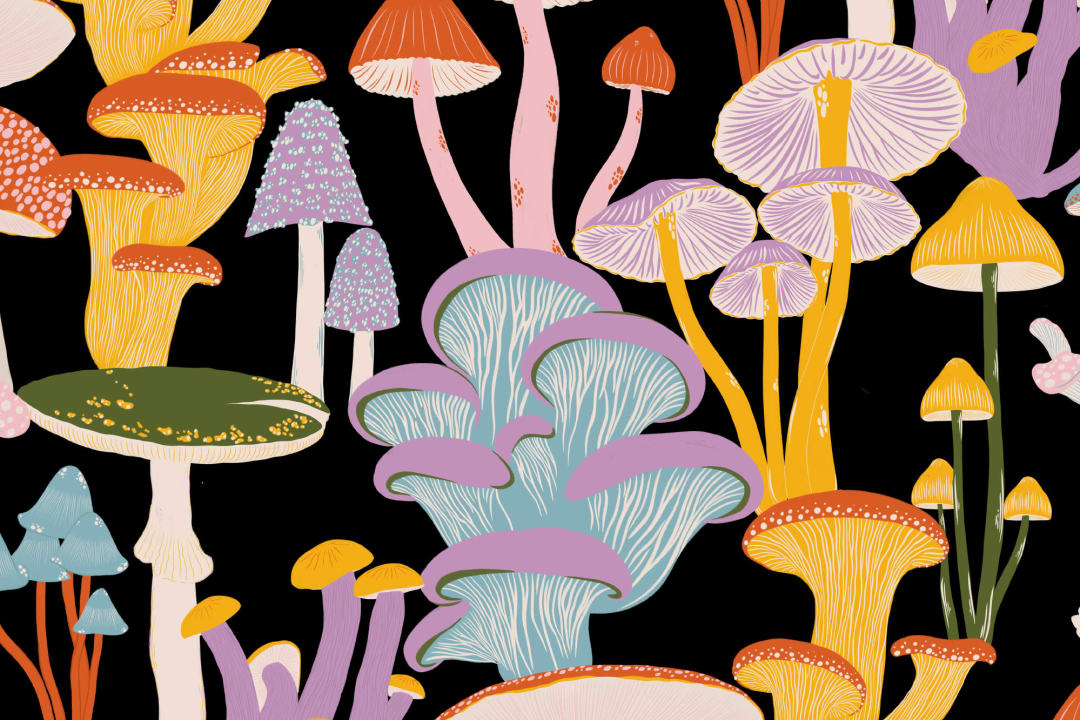 Bright Multicolor Hand Drawn Mushrooms on Black Wallpaper