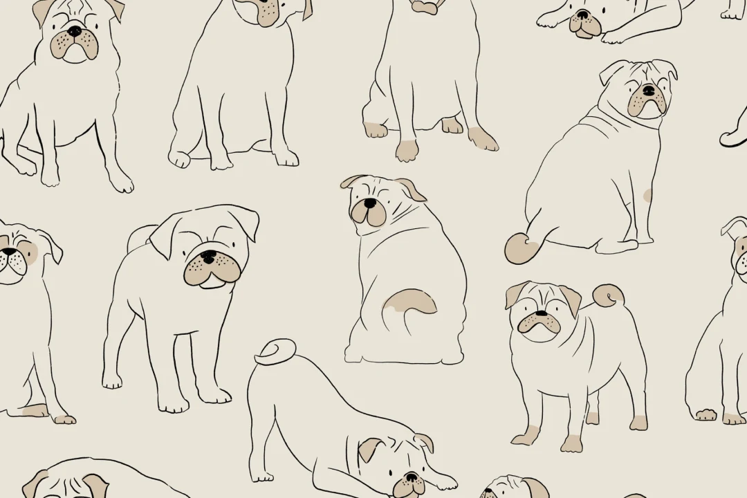 Pug Pattern Dog Wallpaper Mural