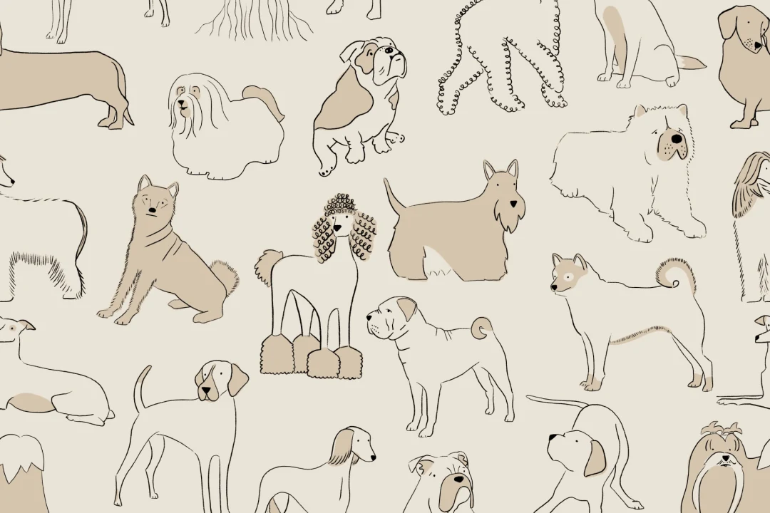Neutral Bulldog & Sausage Dog Pattern Pet Wallpaper Mural
