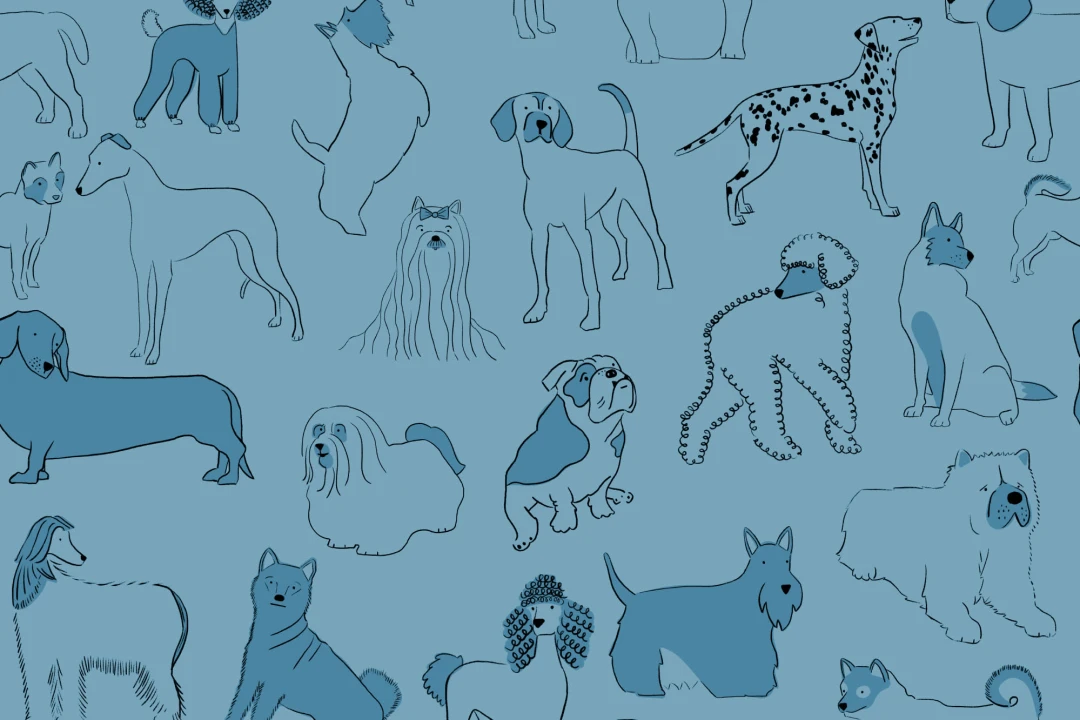 Blue Bulldog & Sausage Dog Pattern Pet Wallpaper Mural