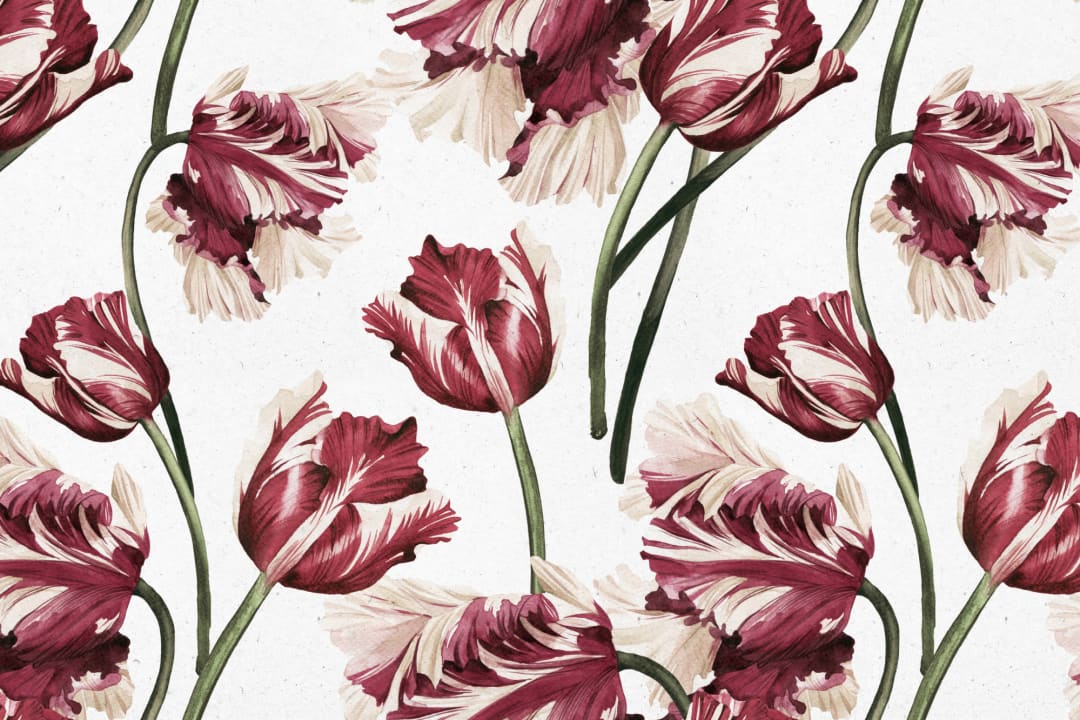 Mural Papel Pintado Tulipán Rojo