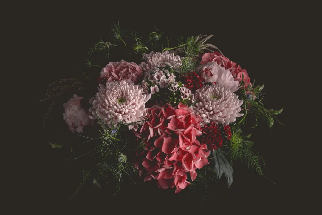 Papier Peint Panoramique Fleuri aux Pivoines Hortensias et Chrysanthèmes sur Fond Noir
