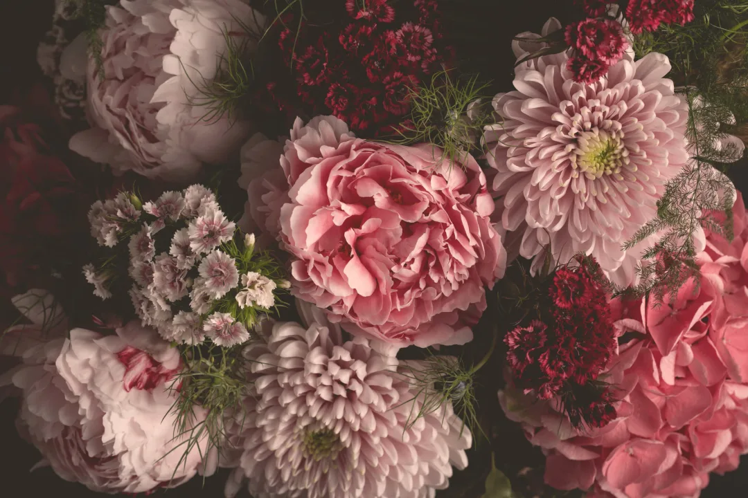 Papier Peint Panoramique Photographique aux Grosses Fleurs Roses