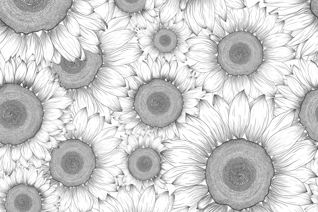Mural Papel Pintado Ilustrado con Girasoles en Blanco y Negro