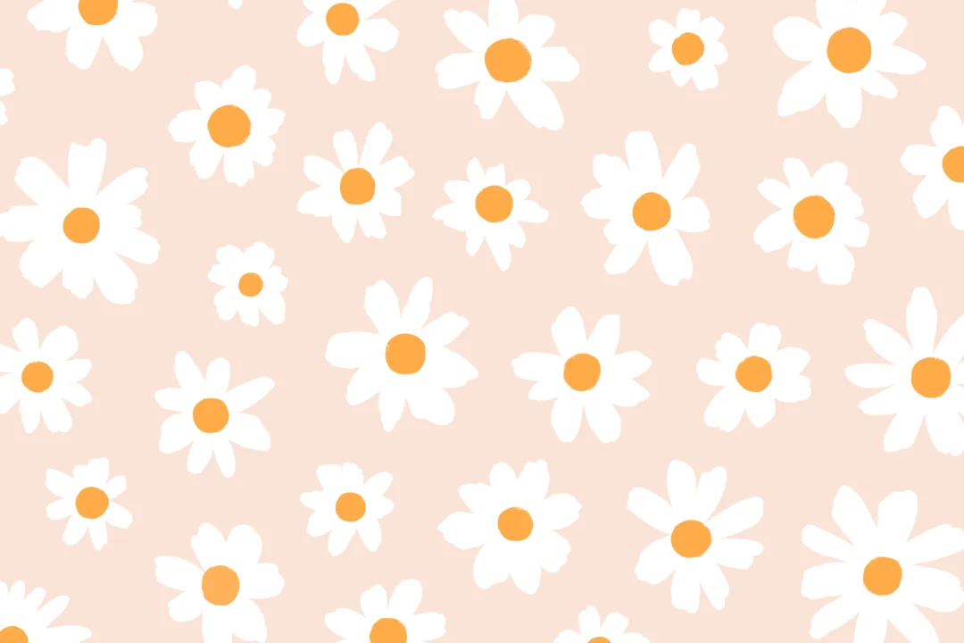Pink & White Retro Daisy Floral Wallpaper Mural