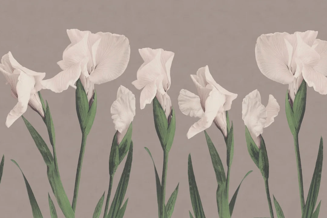 Vintage Japanese Large Flower Wallpaper Mural