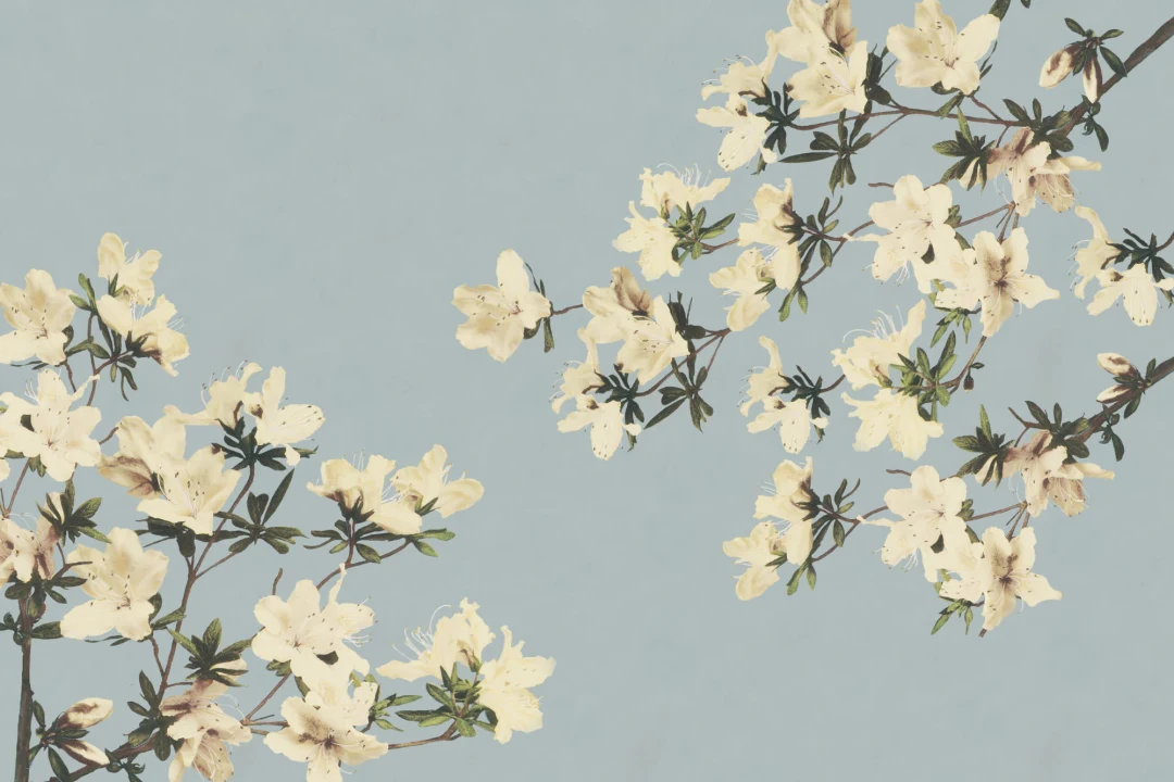 Carta da Parati Giapponese con Fiori Vintage su Sfondo Azzurro