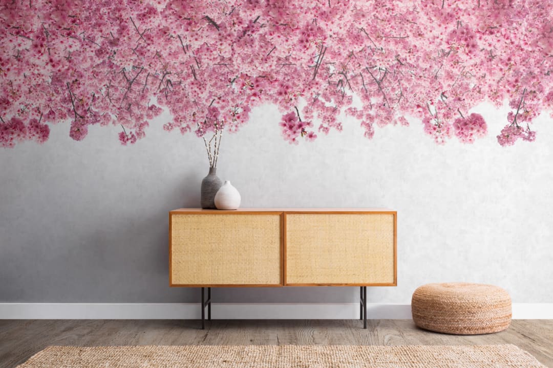 Rosa Sakura Cherry Blossom Fototapet