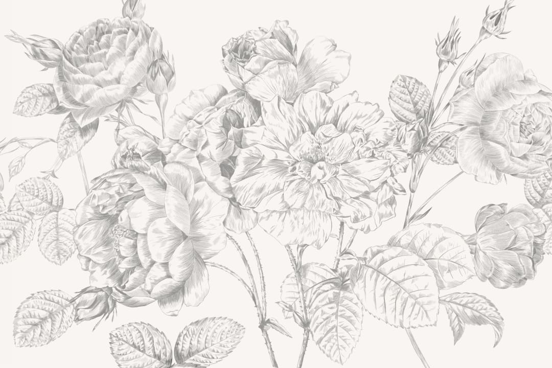 Gray Large Illustrated Roses Wallpaper Mural