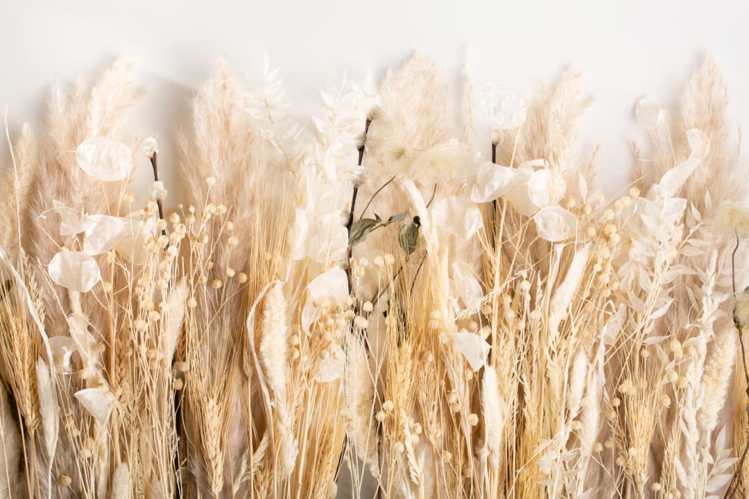 Field of Dried Flowers Wallpaper Mural