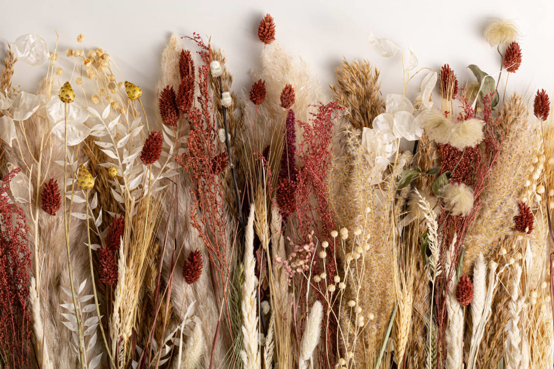 Autumnal Dried Flowers Wallpaper Mural
