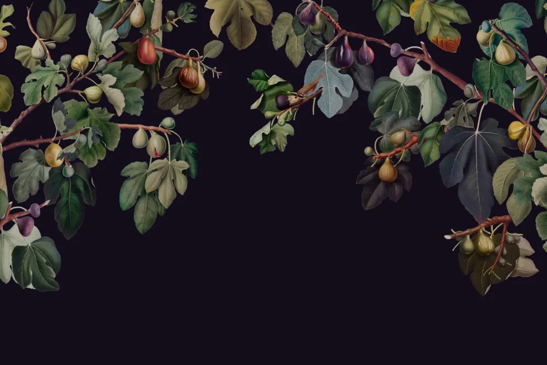 Vintage Dark Botanical Fig Tree Wallpaper Mural