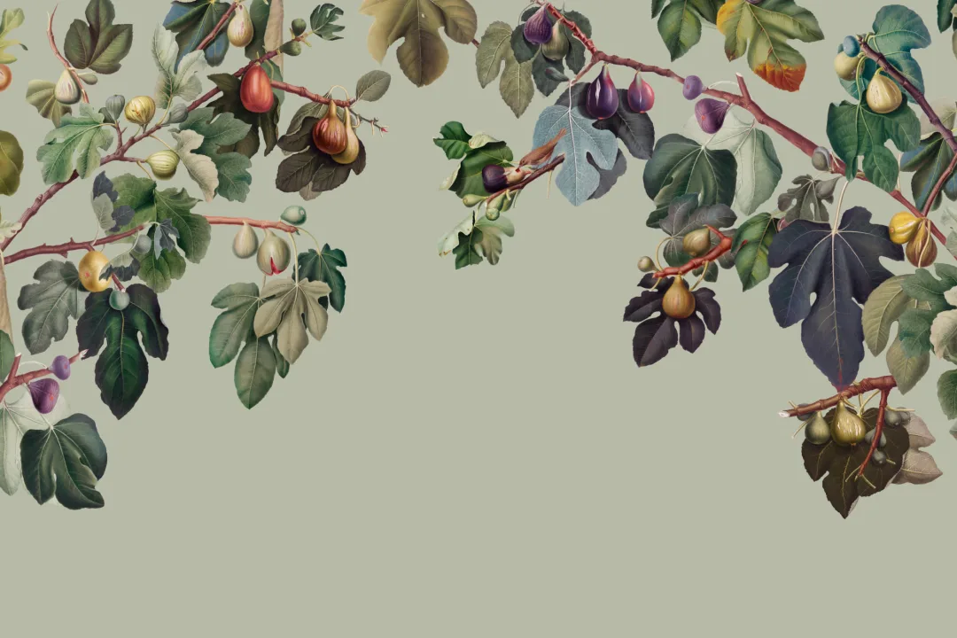 Vintage Green Botanical Fig Tree Wallpaper Mural