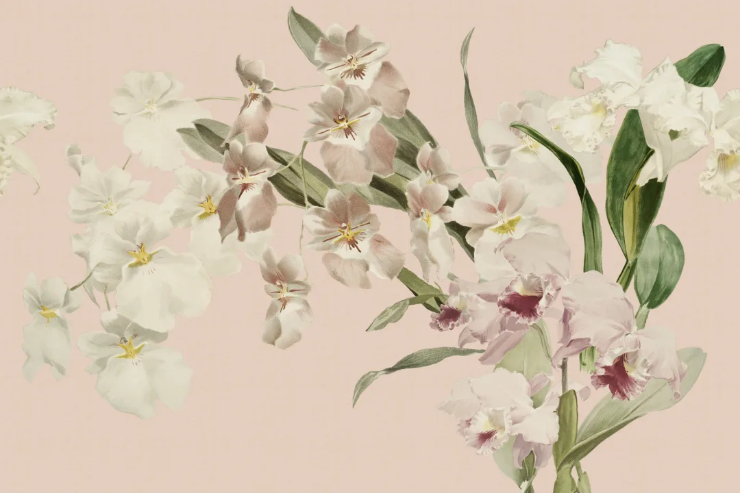 Mural Velvet Bloom floral en tonos pastel suaves para espacios elegantes