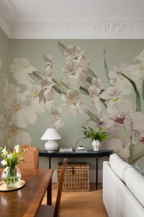 Orchid Elegance