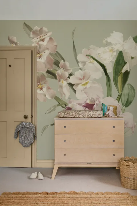 Orchid Elegance