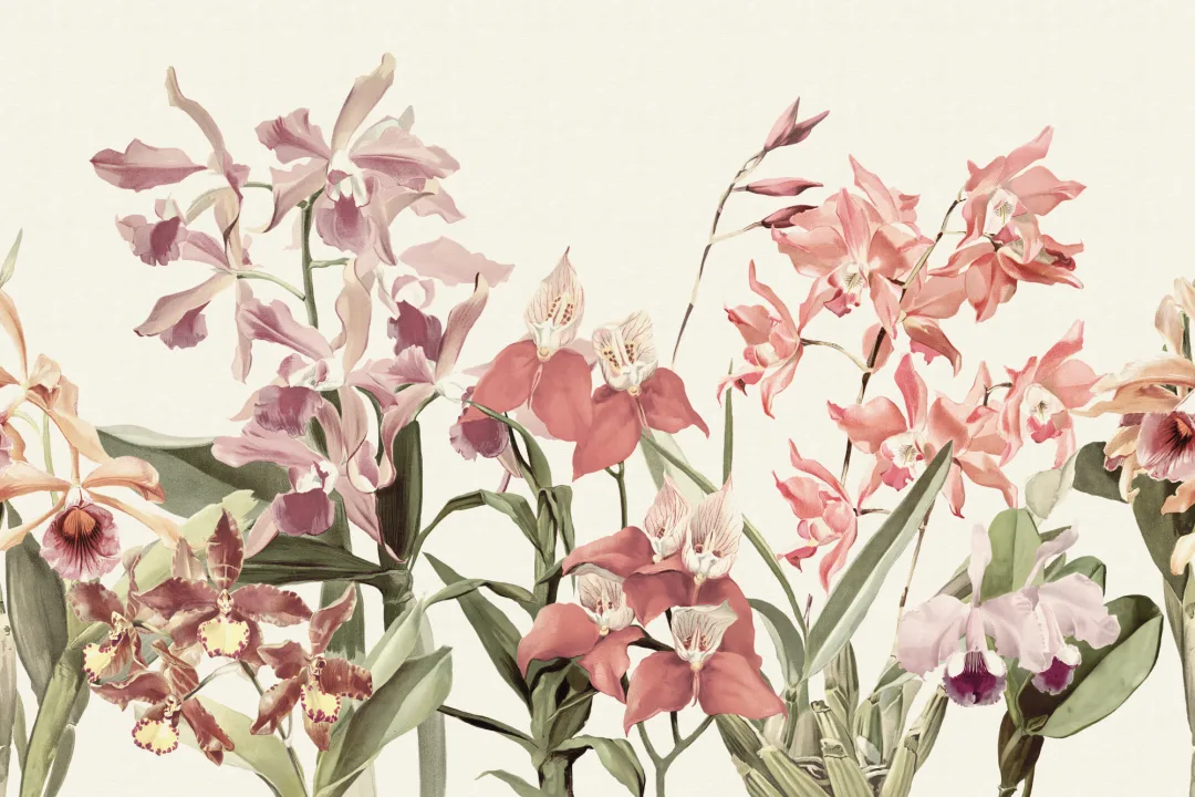 Neutral Botanical Elegance Floral Garden Mural