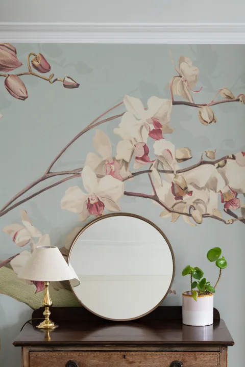 Elegancia de orquídeas botánicas azules Murales de papel pintado florales de naturaleza