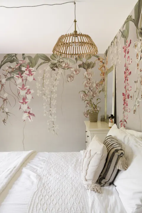 Elegant Orchids