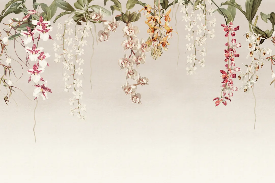 Elegant Orchids