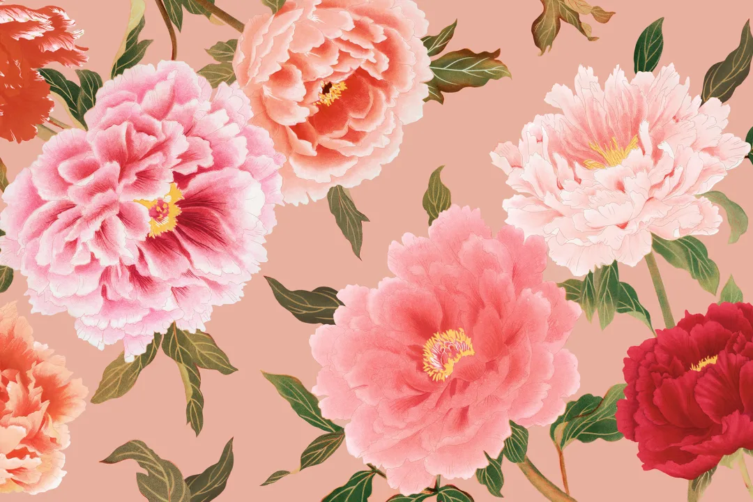 Papel Pintado Peonías Rosa