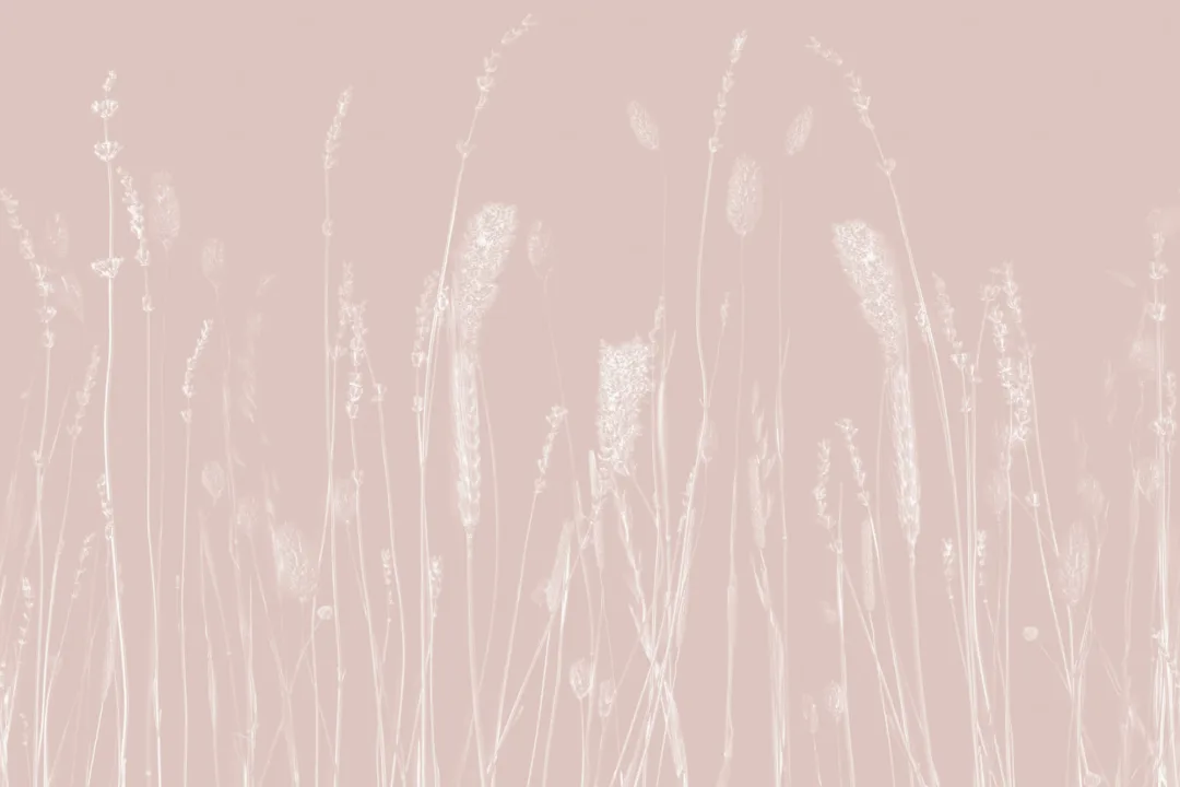 Light Pink Dried Flowers Wall Mural