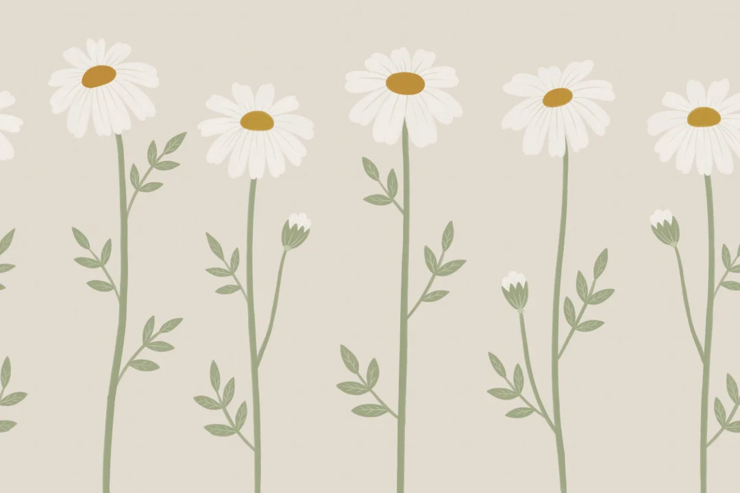 Mural de papel pintado floral de margaritas botánicas en beige para dar elegancia