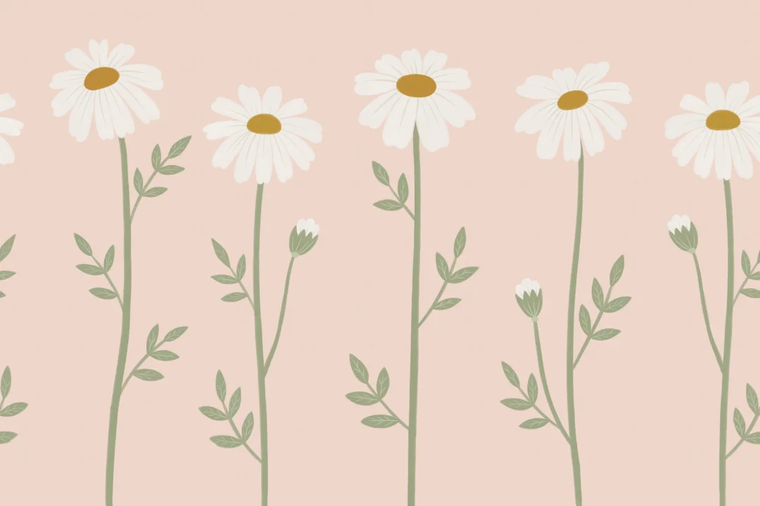 Pink Floral Nature Kids' Delightful Daisy Blossom Mural