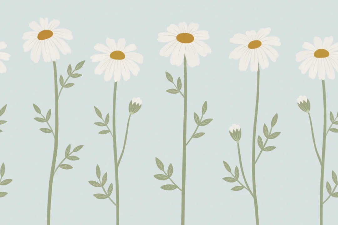 Soft Blue Daisy Floral Wall Mural for Calm Spaces