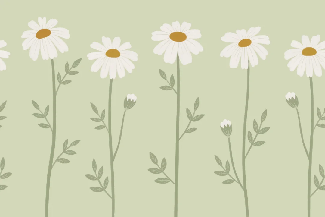 Pastel Daisy Floral Wall Art Brings Tranquil Vibe