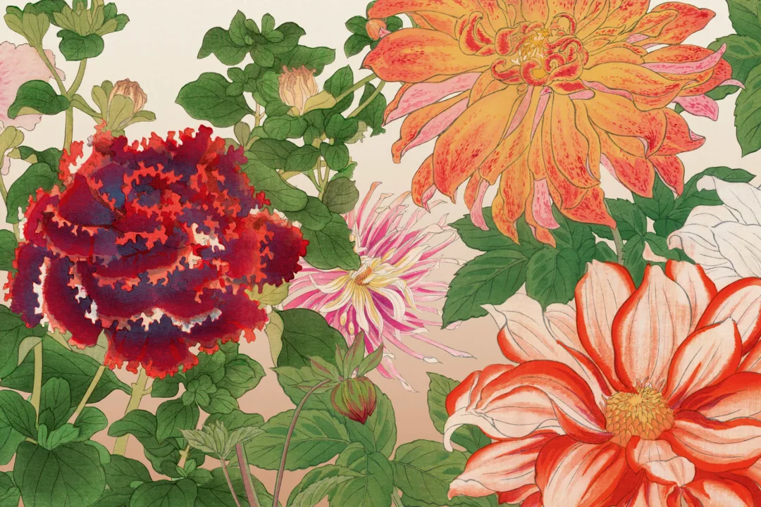 Dahlia Japanese Watercolour Floral Mural