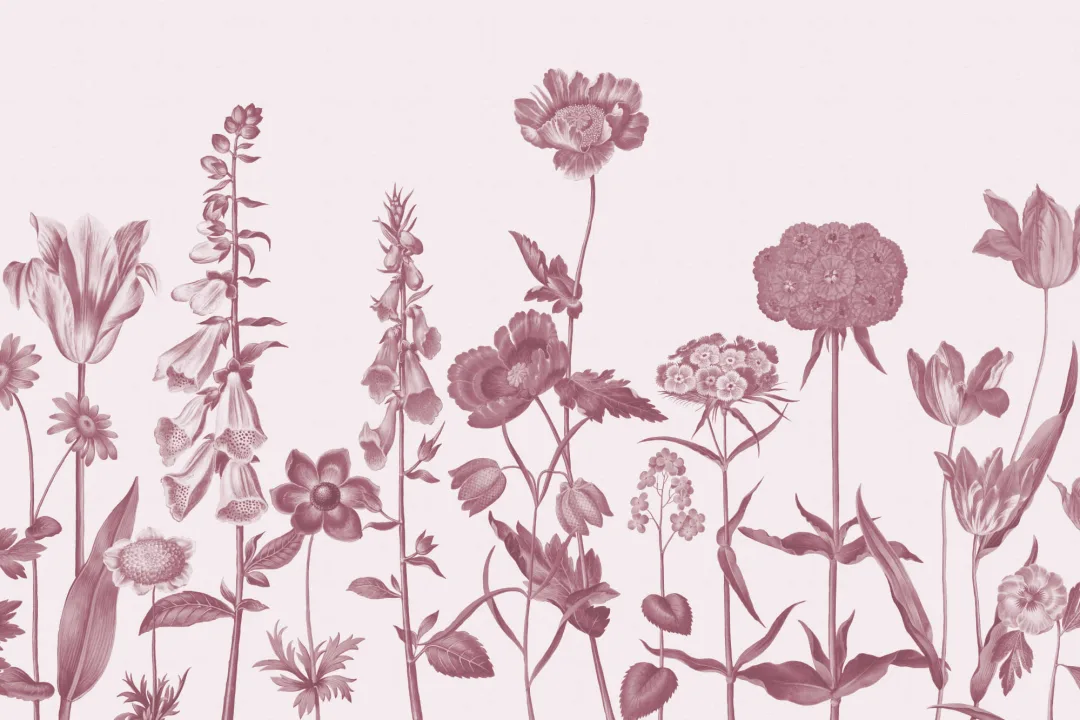 Pink Illustrated Wildflower Mural