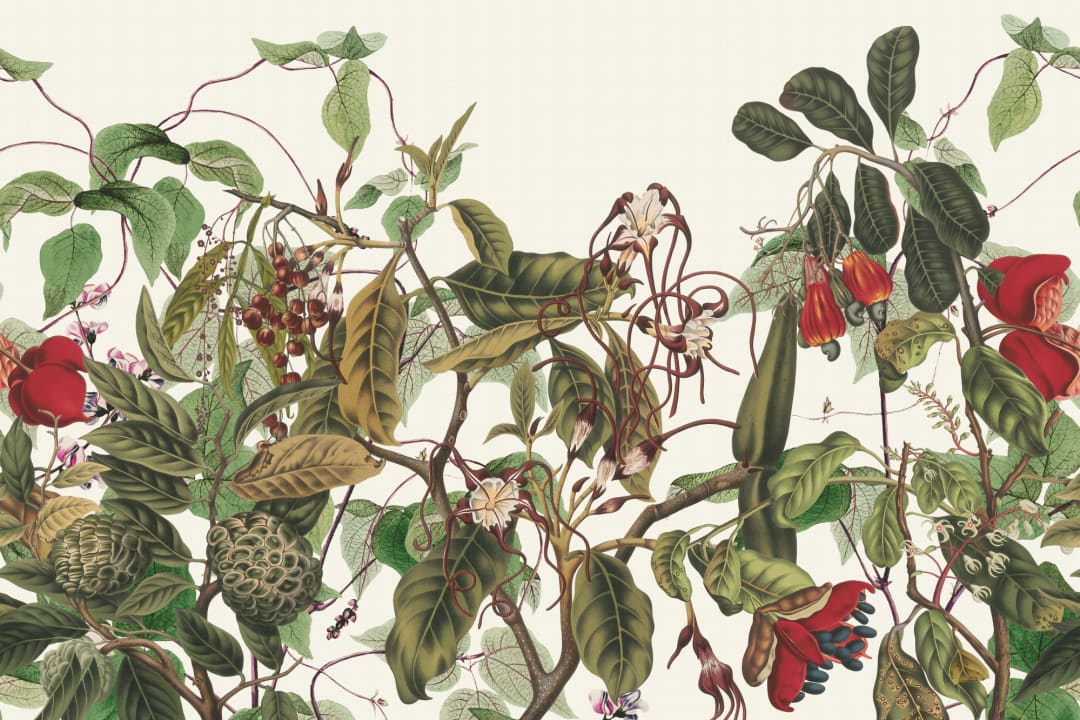 Lush Vintage Botanical Wall Mural with Tropical Flowers and Foliage in Full Color