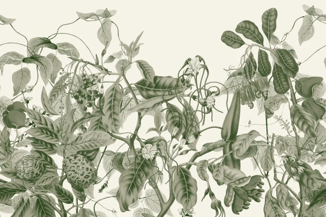 Lush Vintage Botanical Wall Mural in Green with Detailed Tropical Plant Illustrations