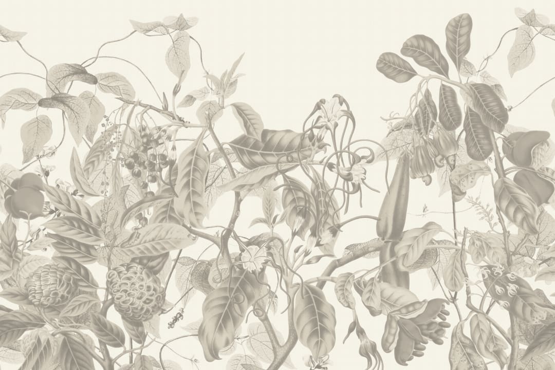Lush Vintage Botanical Wall Mural in Grey with Tropical Flowers and Leafy Vines