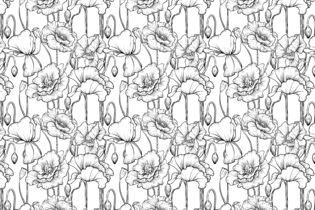 Black & White Illustrated Floral Wallpaper Mural