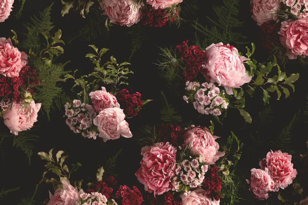 Papier Peint Panoramique aux Fleurs Roses sur Fond Noir