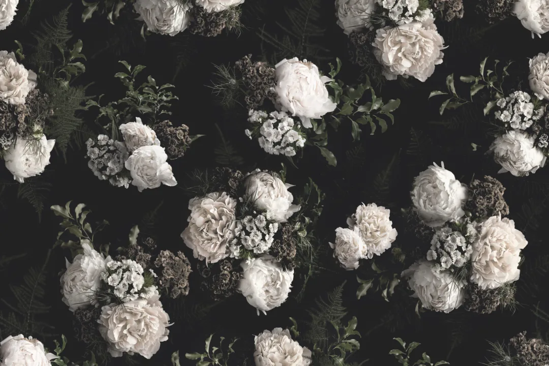 Papier Peint Panoramique aux Fleurs Blanches sur Fond Noir