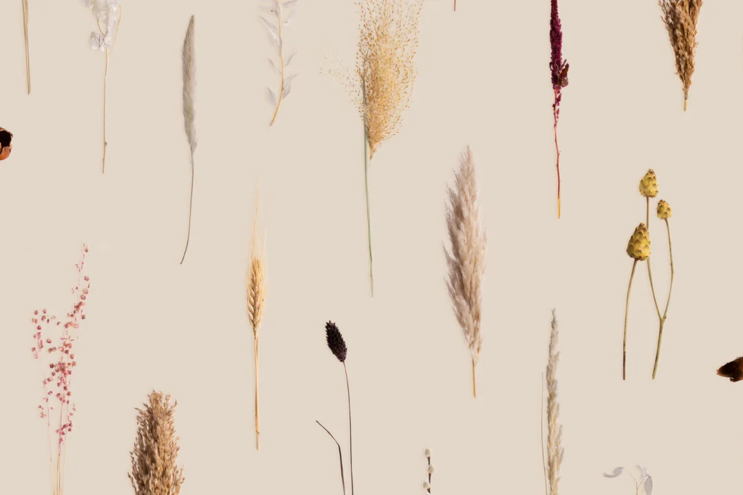 Earthy Dried Flowers Botanical Repeat Pattern Wallpaper