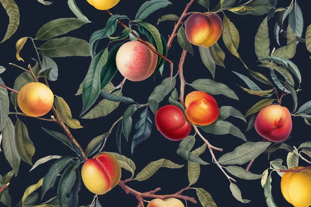 Papier Peint Style Vintage Foncé à Motif de Fruits Pêches