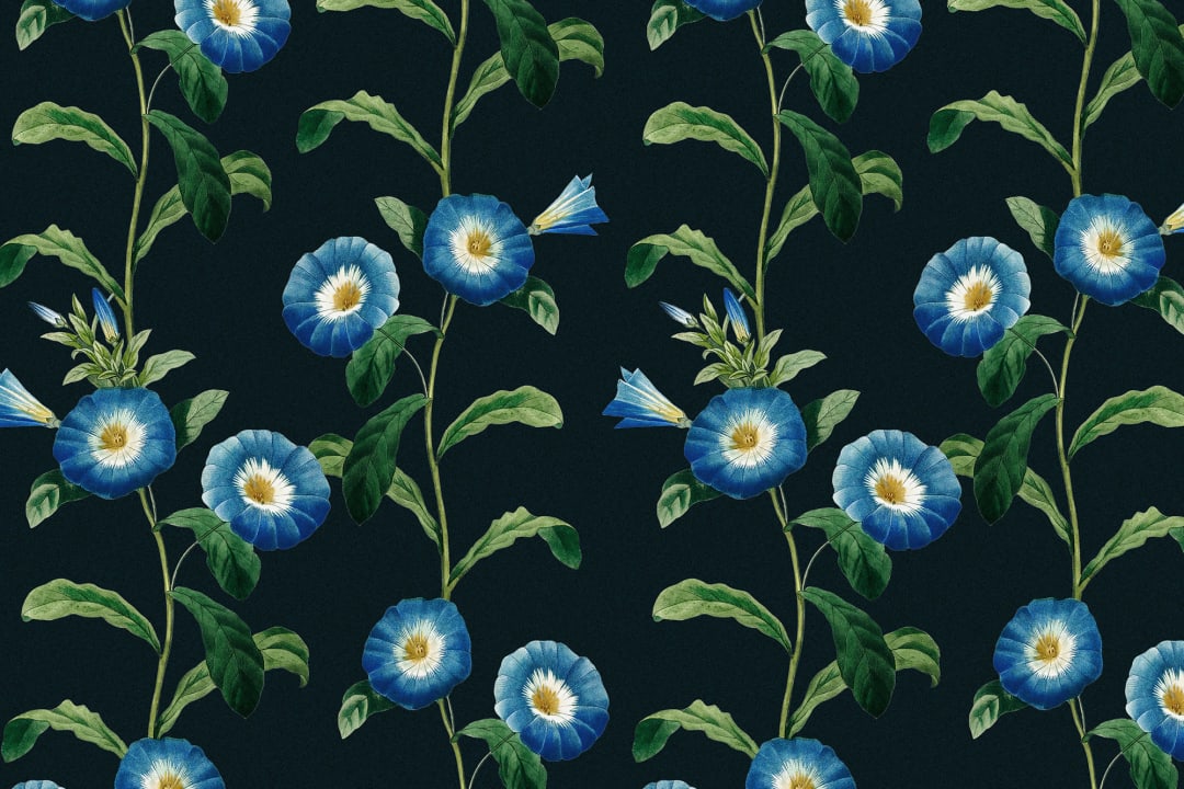 Bladaktig Bright Blue Petunia Floral Bakgrunn