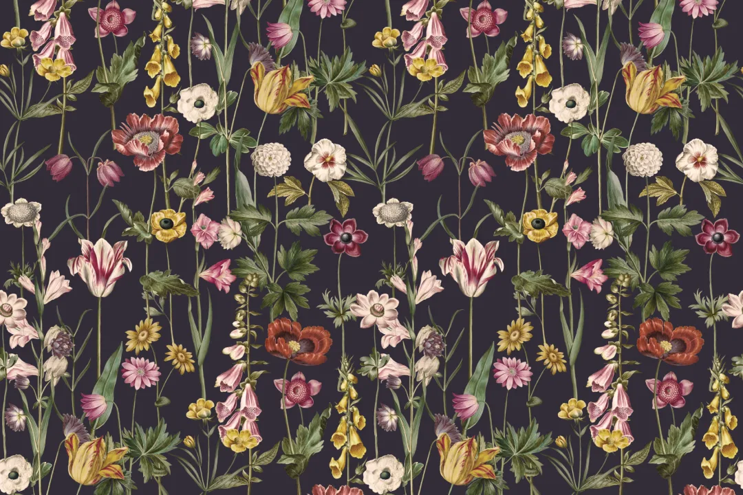 Fond d'écran sombre illustré de fleurs sauvages