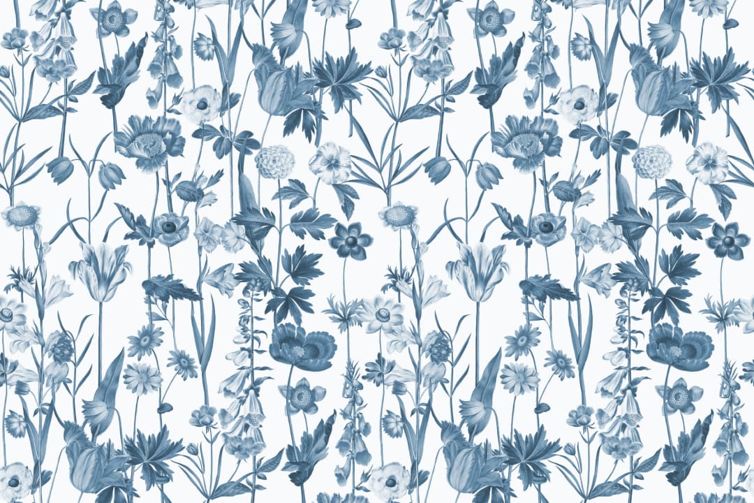 Blue & White Illustrated Wildflower Wallpaper