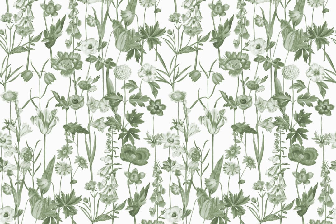 Hvit illustrert tapet med ville blomster