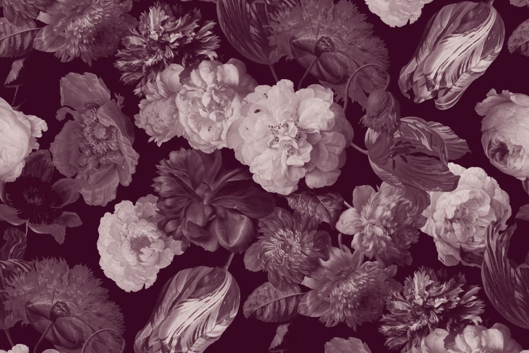 Papier peint panoramique floral Plum Painted