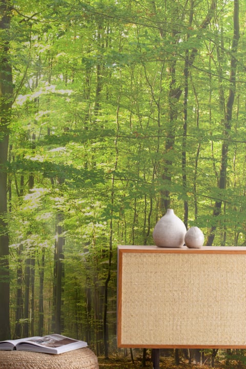Green Light Forest Wallpaper Mural