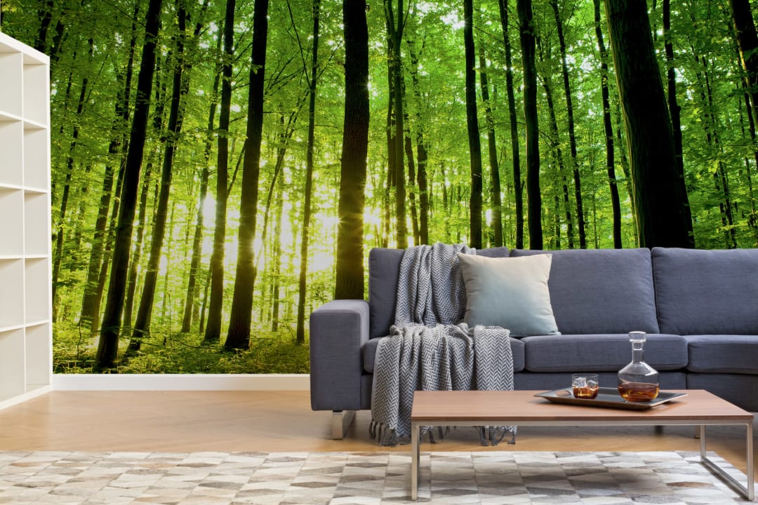 Breaking Light Green Forest Wallpaper Mural