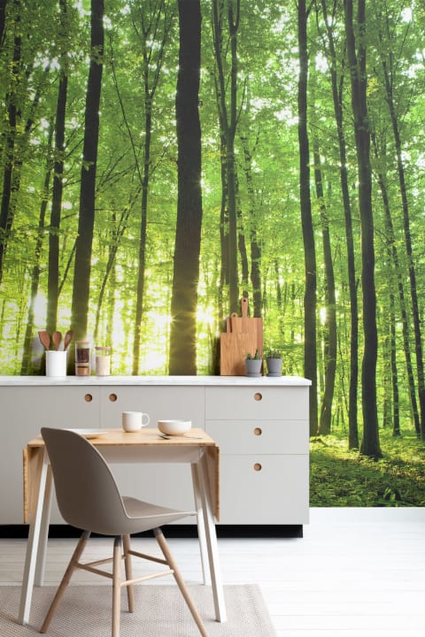 Breaking Light Verde Floresta Papel de Parede Mural